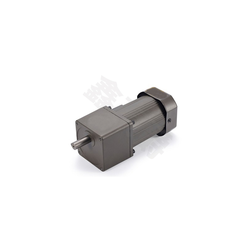 齿轮减速电6W-250W
