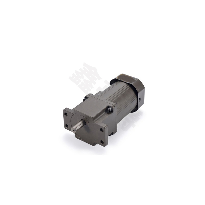 齿轮减速电机6W-250W